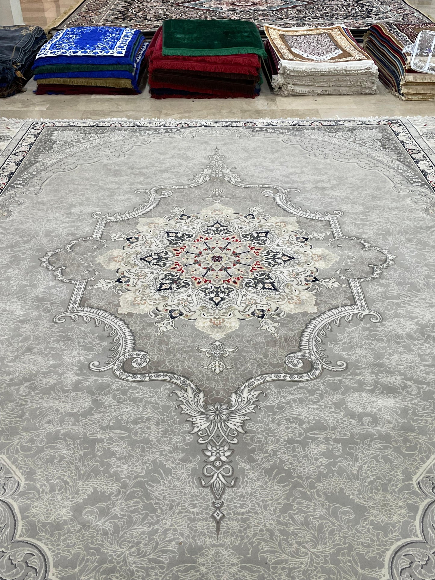700 SHANA IRANI RUG (10x13)