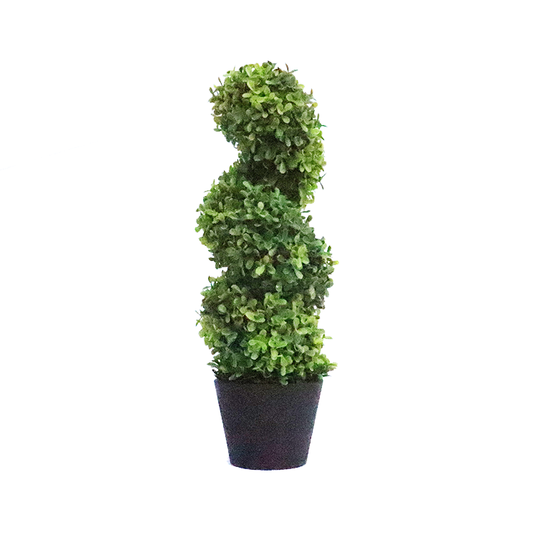 SPIRAL TREE M