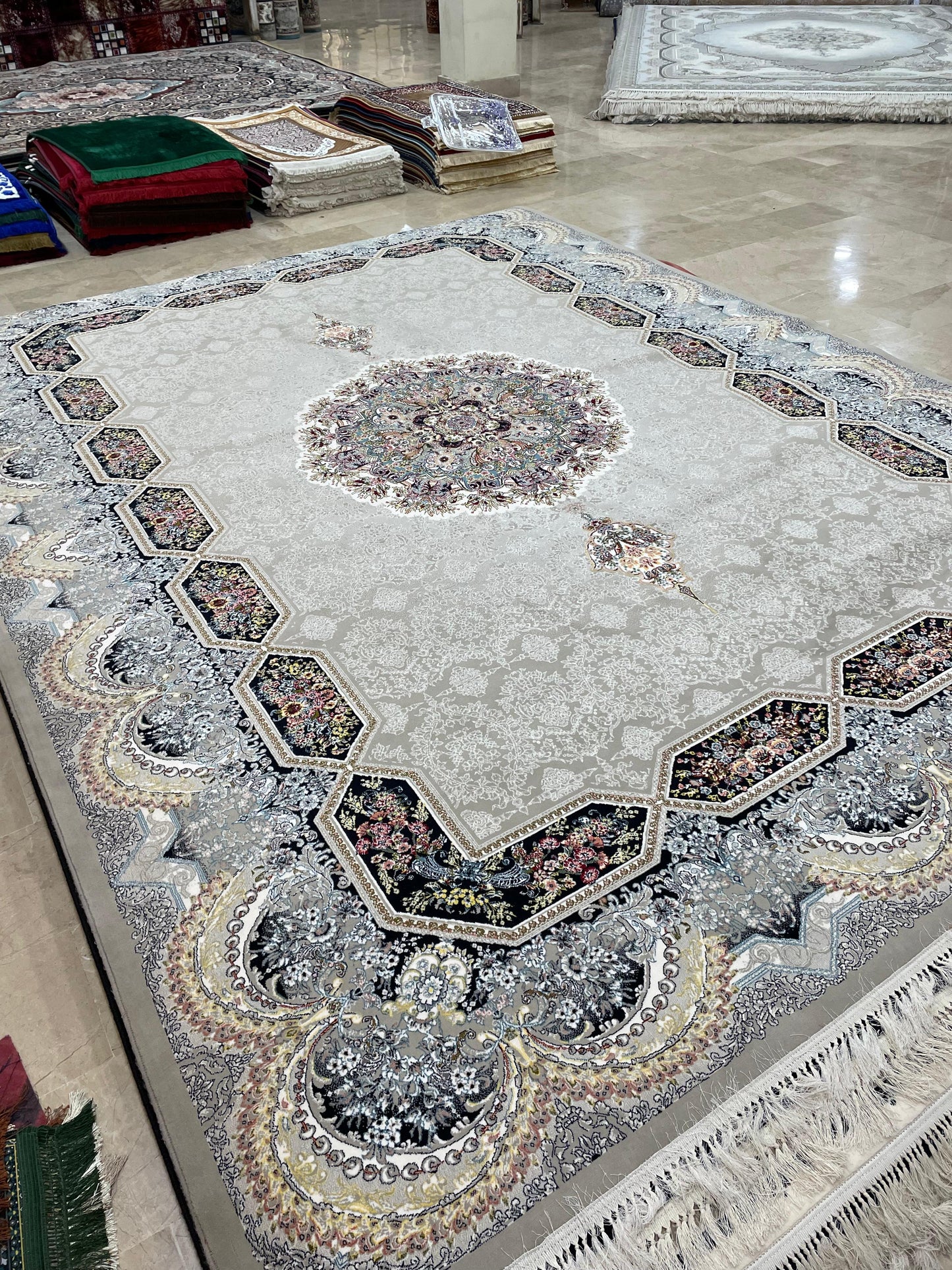 700 SHANA IRANI RUG (10x13)