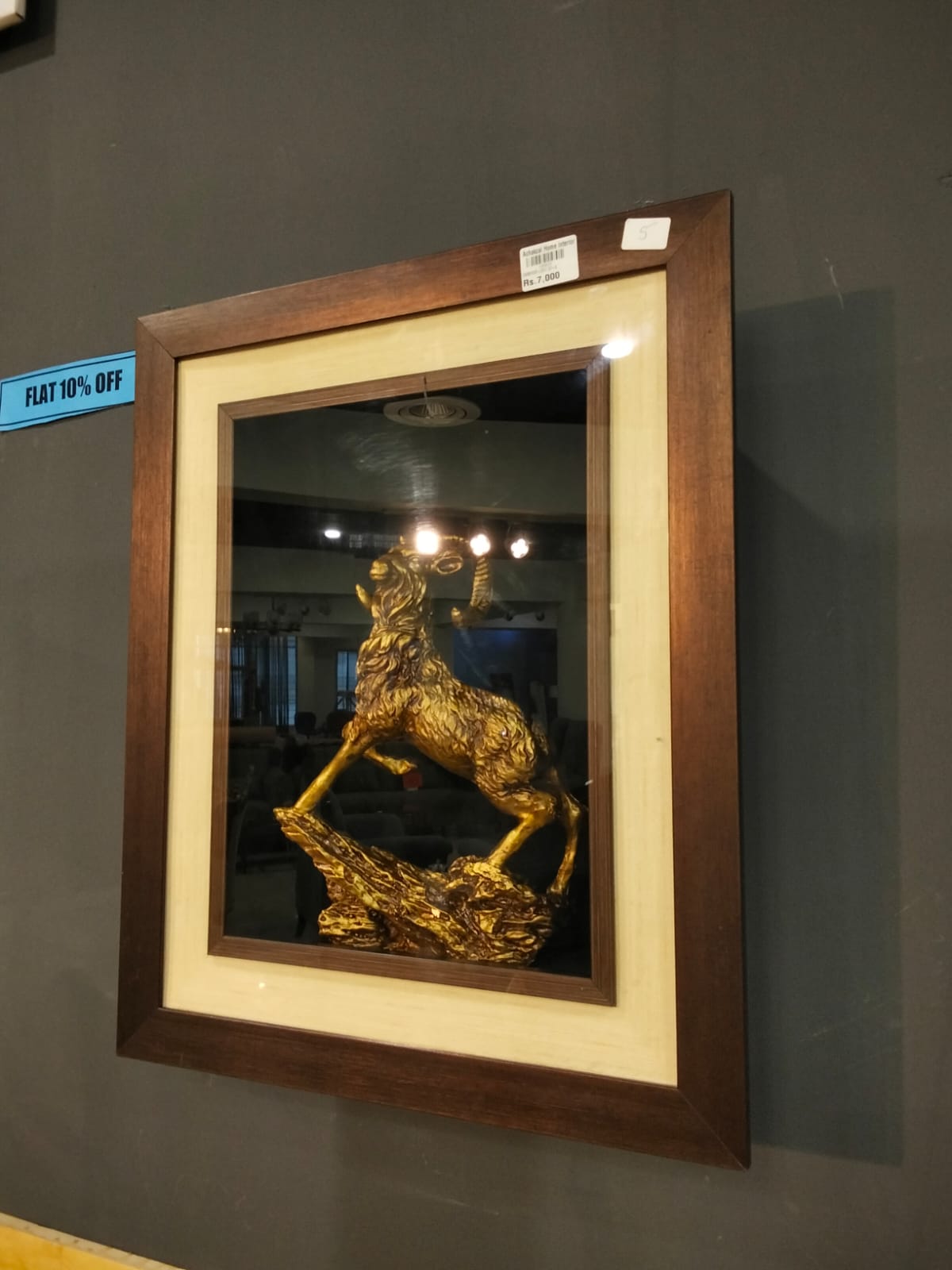 MARKHOR FRAME