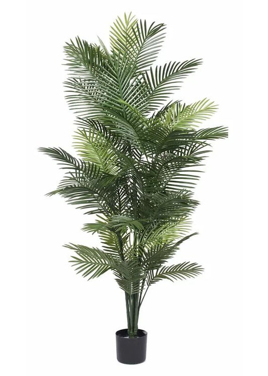 PALM TREE B LARGE